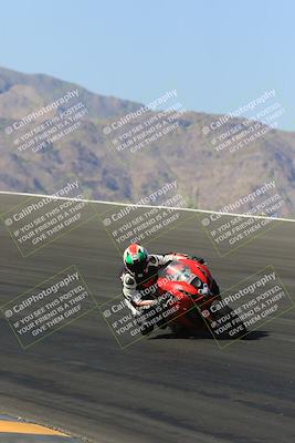 media/May-13-2023-SoCal Trackdays (Sat) [[8a473a8fd1]]/Bowl (840am)/